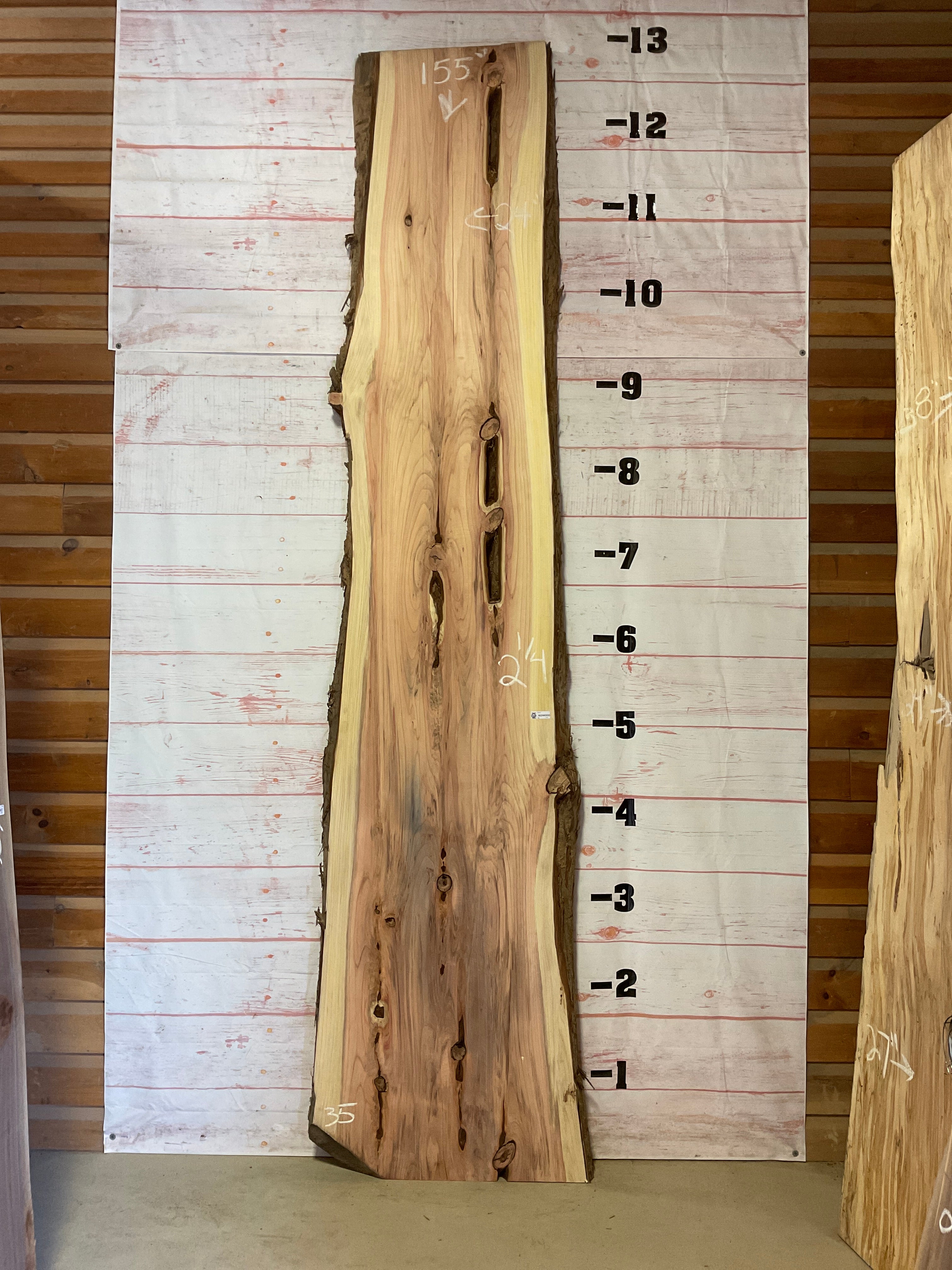 1 Round Redwood Slab Surfaced 60”x55”x2 1/4”